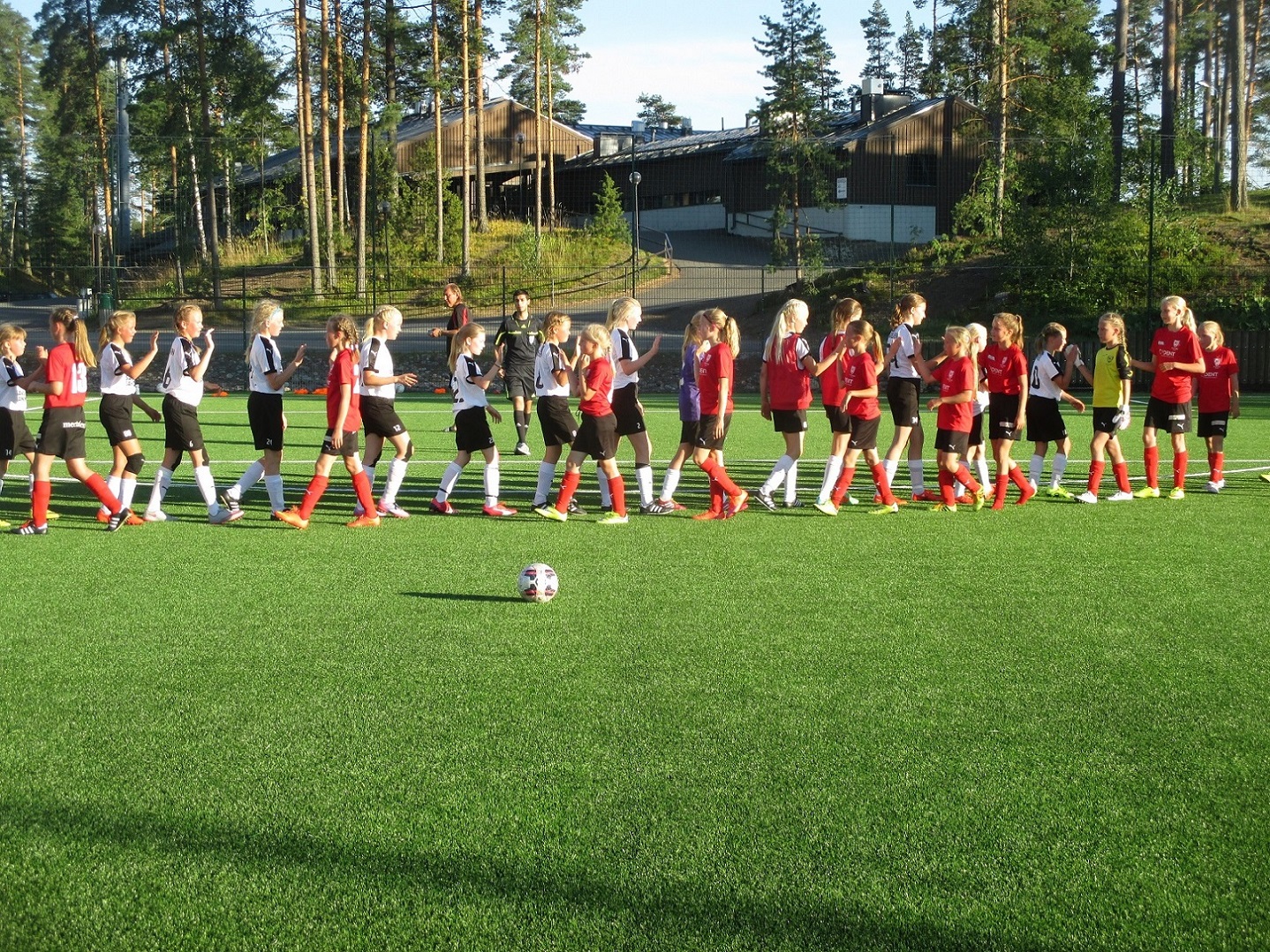 Eerikkilä 23.8.2015 Pallokissat - ONS
