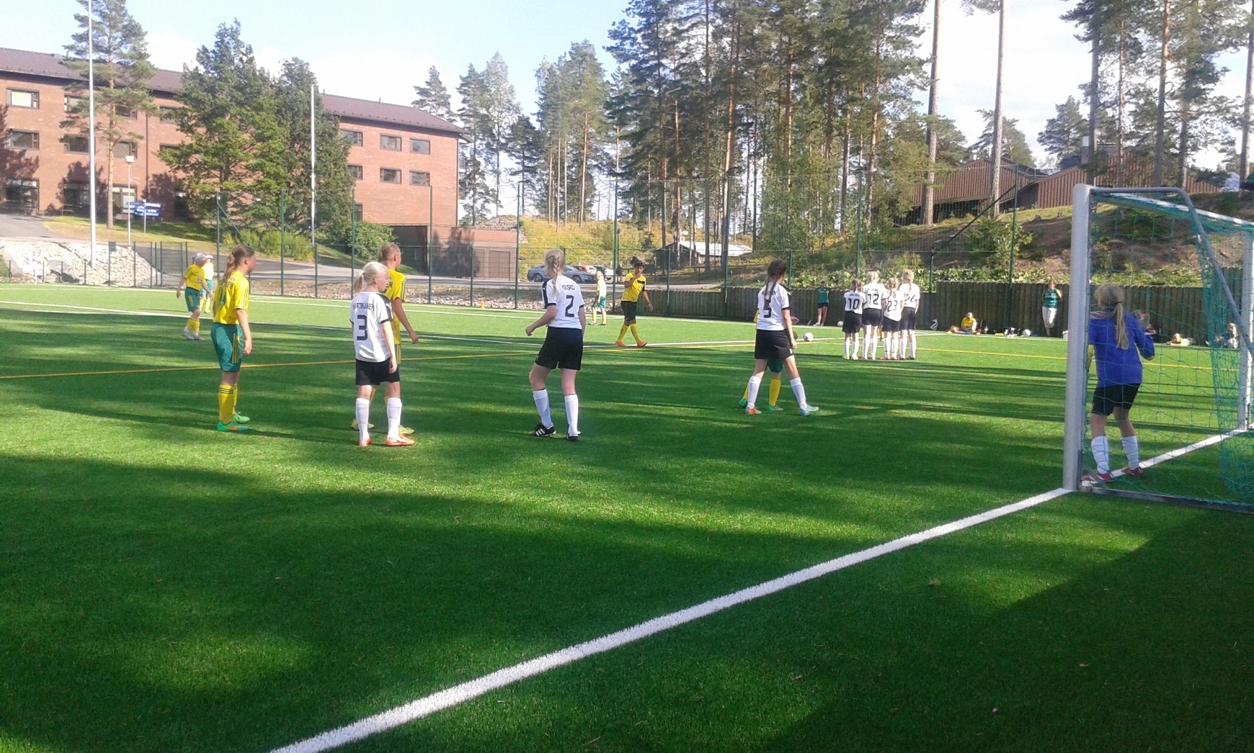 Eerikkilä 24.8.2015 Pallokissat-Ilves