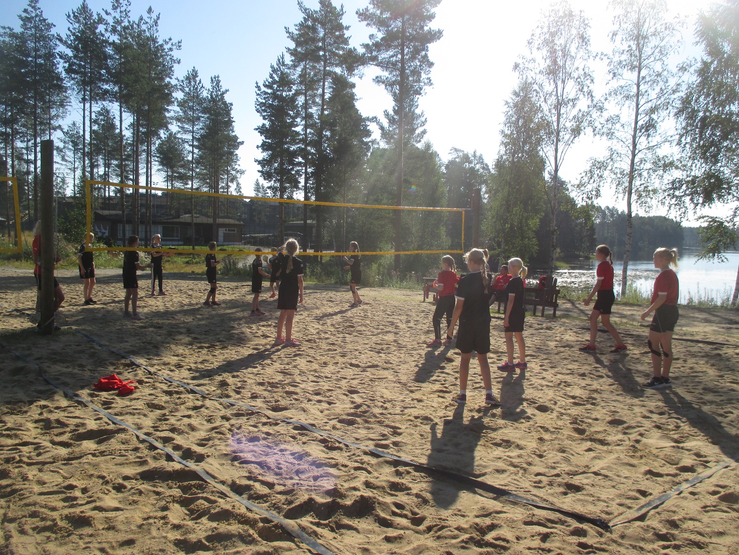 Pallokissat-03 Eerikkilässä 2015